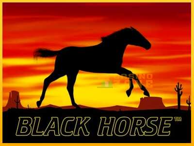 Дастгоҳ барои пул Black Horse