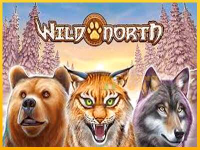 Дастгоҳ барои пул Wild North