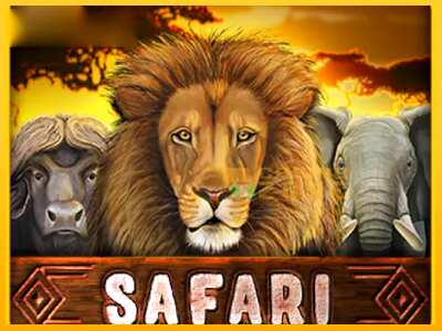 Дастгоҳ барои пул Safari