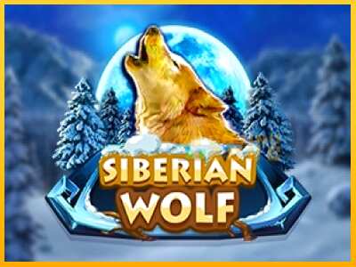 Дастгоҳ барои пул Siberian Wolf