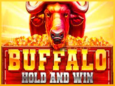 Дастгоҳ барои пул Buffalo Hold and Win Extreme