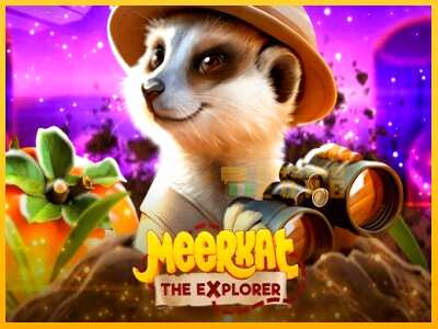 Дастгоҳ барои пул Meerkat