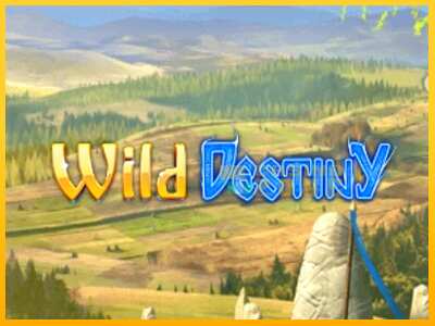 Дастгоҳ барои пул Wild Destiny