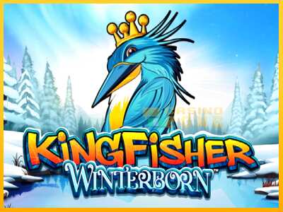 Дастгоҳ барои пул Kingfisher Winterborn