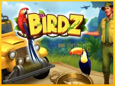 Дастгоҳ барои пул BIRDZ