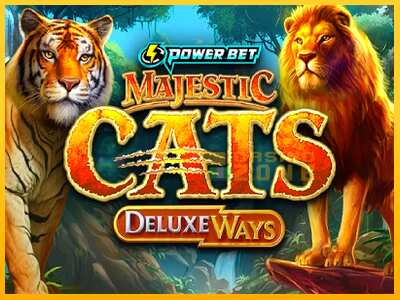 Дастгоҳ барои пул Majestic Cats DeluxeWays