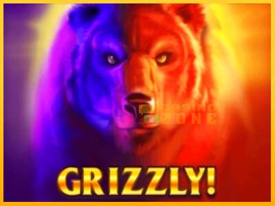 Дастгоҳ барои пул Grizzly