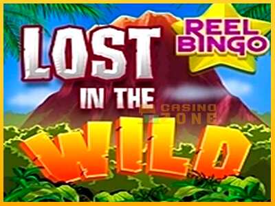 Дастгоҳ барои пул Lost in the Wild with Reel Bingo