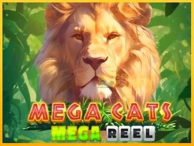 Дастгоҳ барои пул Mega Cats Mega Reel