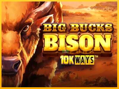 Дастгоҳ барои пул Big Bucks Bison 10K Ways