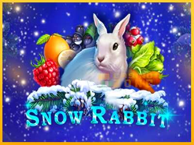 Дастгоҳ барои пул Snow Rabbit