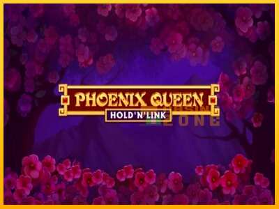 Дастгоҳ барои пул Phoenix Queen Hold N Link