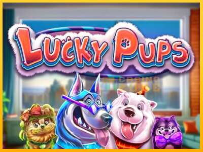 Дастгоҳ барои пул Lucky Pups