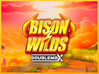 Дастгоҳ барои пул Bison Wilds DoubleMax