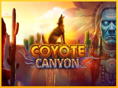 Дастгоҳ барои пул Coyote Canyon