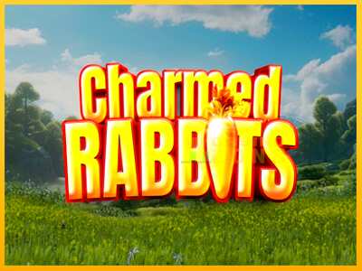 Дастгоҳ барои пул Charmed Rabbits