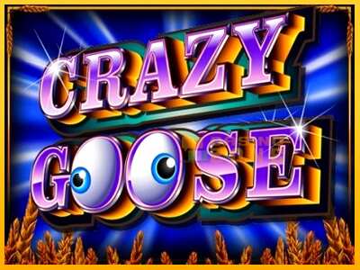 Дастгоҳ барои пул Crazy Goose